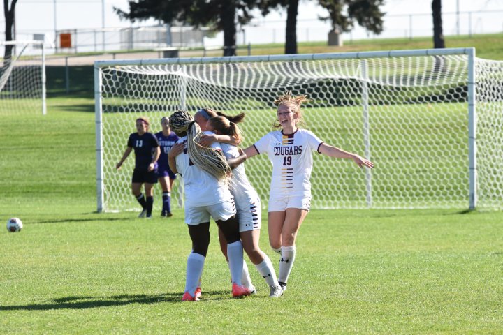 A group of soccer players wearing white 'Cougars' jerseys celebrates on the field after scoring a goal. Two players embrace near the goal, while another with jersey number 19 smiles and runs towards them with arms outstretched. In the background, opposing players in dark purple jerseys walk away from the goal.